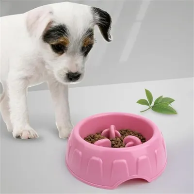 Petopia Gamelle anti - glouton pour chien