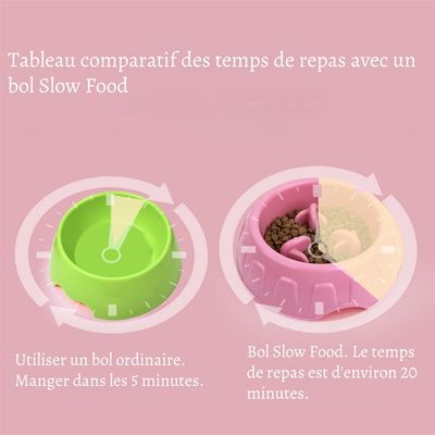 Petopia Gamelle anti - glouton pour chien