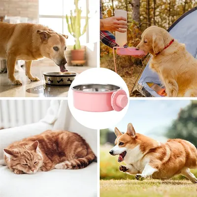 Petopia Gamelle pour chien suspendue et anti - renversement