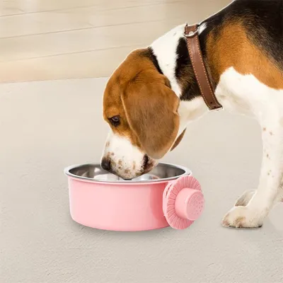 Petopia Gamelle pour chien suspendue et anti - renversement