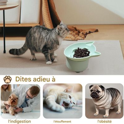 Petopia Gamelle surélevée à alimentation lente pour chat