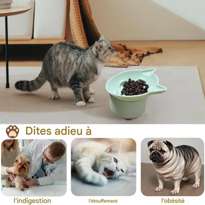 Petopia Gamelle surélevée à alimentation lente pour chat