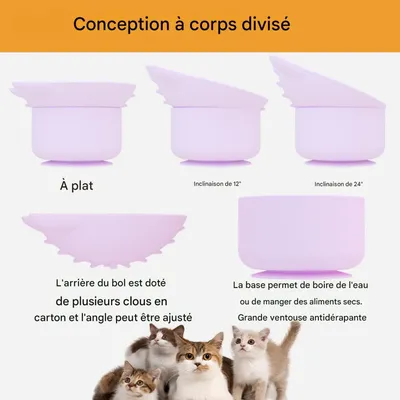 Petopia Gamelle surélevée à alimentation lente pour chat