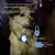 IntiMeg Pendentifs lumineux pour colliers de chien