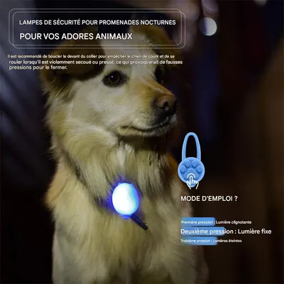 IntiMeg Pendentifs lumineux pour colliers de chien