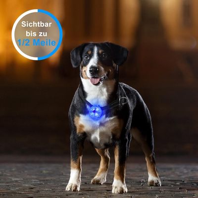 UAMLY Luz de advertencia de seguridad para perros