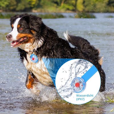 UAMLY Voyant d'avertissement de sécurité pour chien