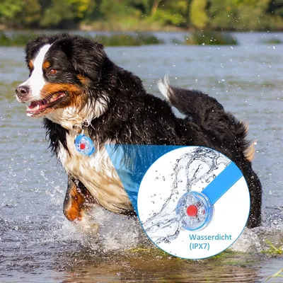 UAMLY Voyant d'avertissement de sécurité pour chien