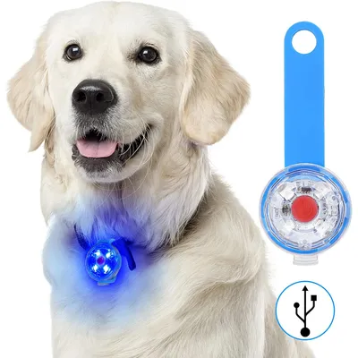 UAMLY Voyant d'avertissement de sécurité pour chien