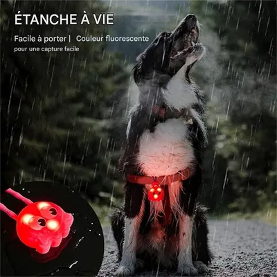IntiMeg Pendentifs pour colliers de chien