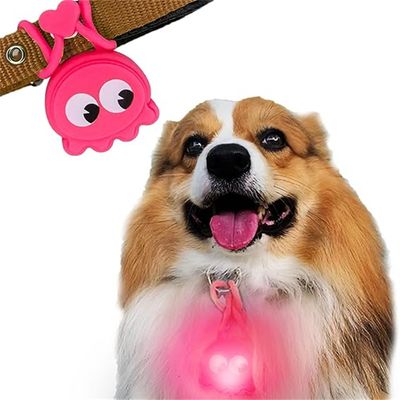 IntiMeg Pendentifs pour colliers de chien