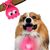 IntiMeg Pendentifs pour colliers de chien