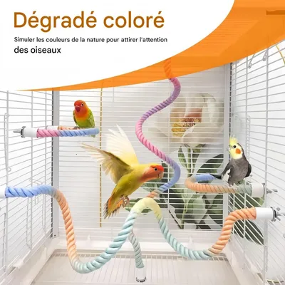 FurryFusion Jouet pour oiseaux spirale en corde