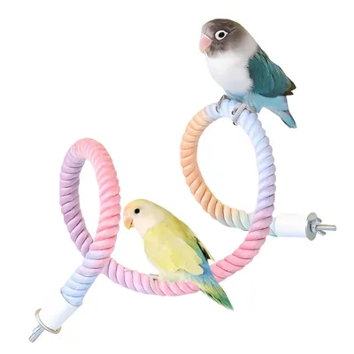 FurryFusion Jouet pour oiseaux spirale en corde