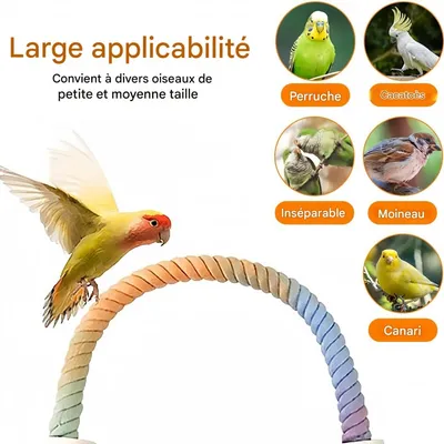 FurryFusion Jouet pour oiseaux spirale en corde