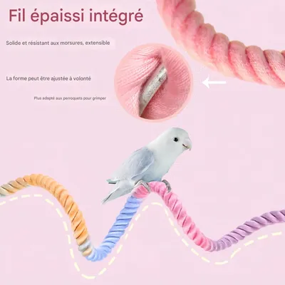 FurryFusion Jouet pour oiseaux spirale en corde