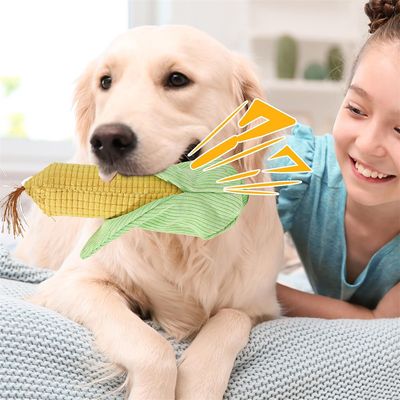 Petopia Jouet en peluche pour chiens