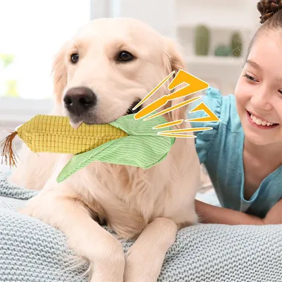 Petopia Jouet en peluche pour chiens