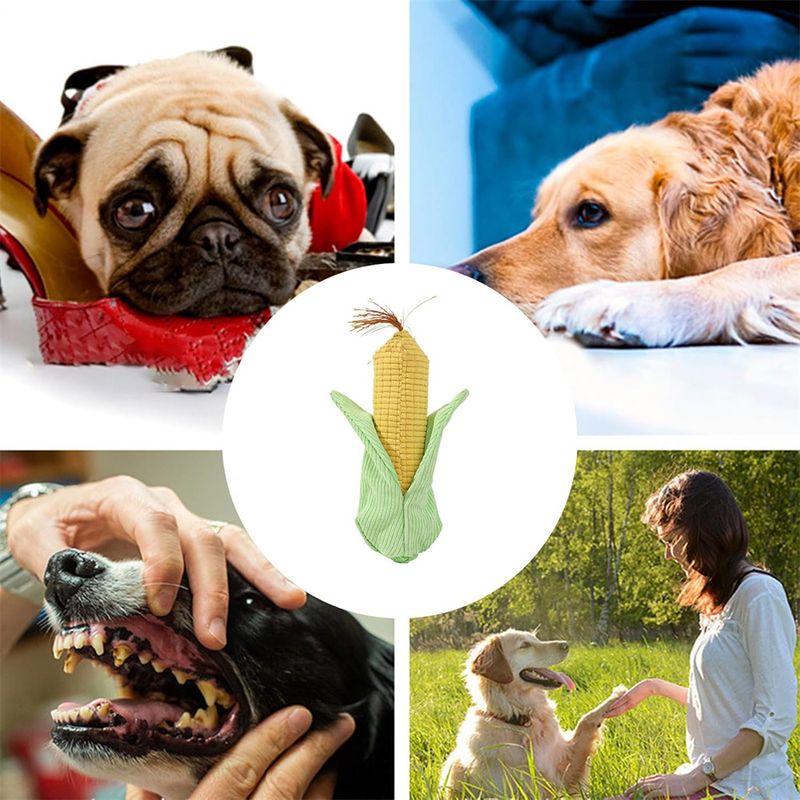 Petopia Jouet en peluche pour chiens