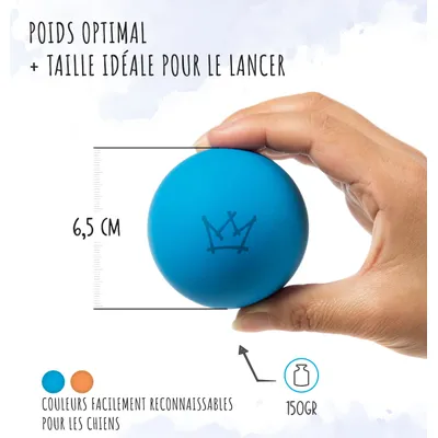 Rudelkönig Balle pour chien résistant