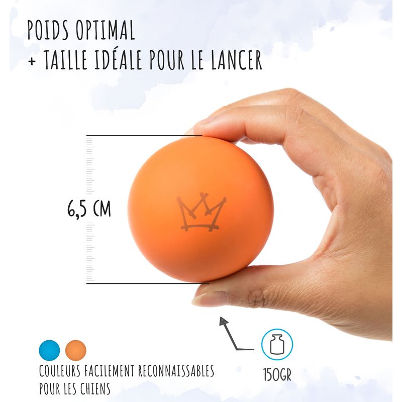 Rudelkönig Balle pour chien résistant