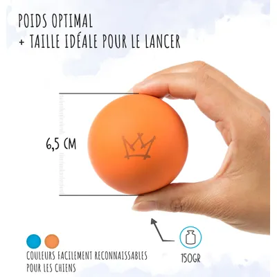 Rudelkönig Balle pour chien résistant