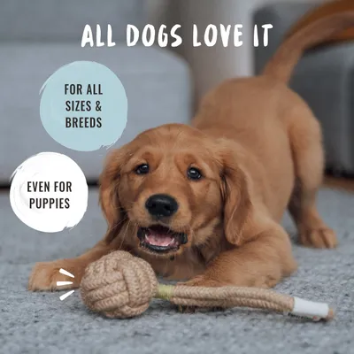 Rudelkönig Jouet corde chien 3 pièces