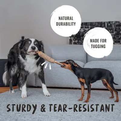 Rudelkönig Jouet corde chien 3 pièces