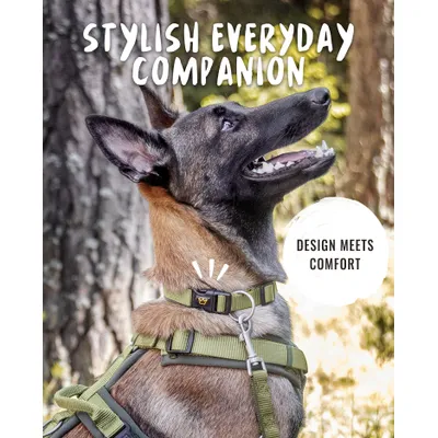 Rudelkönig Collier pour chien Bella