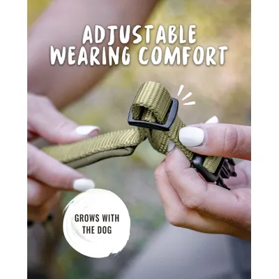 Rudelkönig Collier pour chien Bella