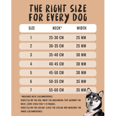 Rudelkönig Collier pour chien Paola réfléchissant réglable