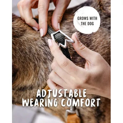 Rudelkönig Collier chien Emma anti-traction réglable