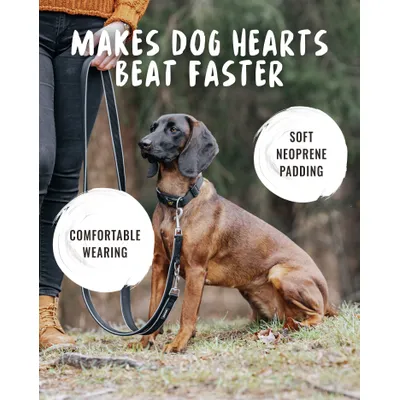 Rudelkönig Collier pour chien Paola réfléchissant réglable