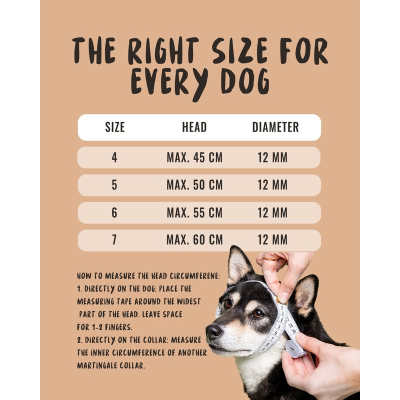 Rudelkönig Collier chien Emma anti-traction réglable