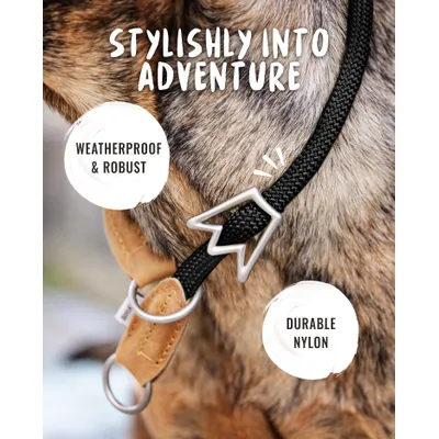 Rudelkönig Collier chien Emma anti-traction réglable