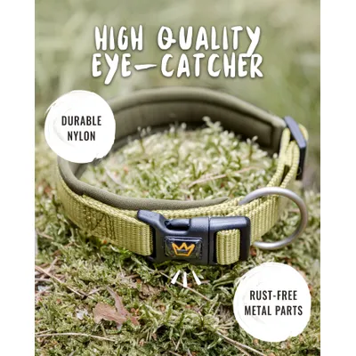 Rudelkönig Collier pour chien Bella