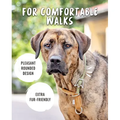 Rudelkönig Collier chien Emma anti-traction réglable