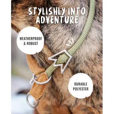 Rudelkönig Collier chien Emma anti-traction réglable