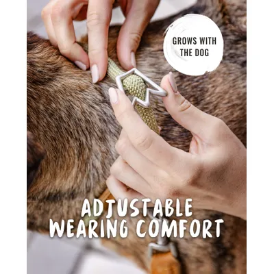 Rudelkönig Collier chien Emma anti-traction réglable