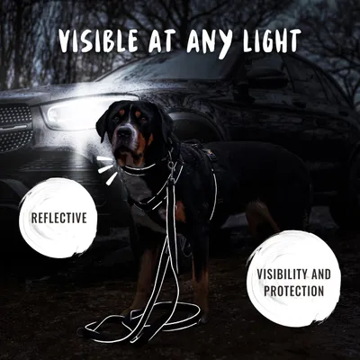 Rudelkönig Collier pour chien Paola réfléchissant réglable