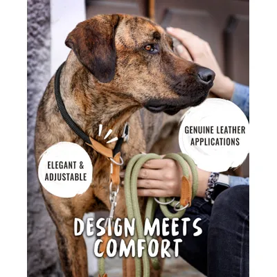 Rudelkönig Collier chien Emma anti-traction réglable