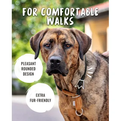 Rudelkönig Collier chien Emma anti-traction réglable