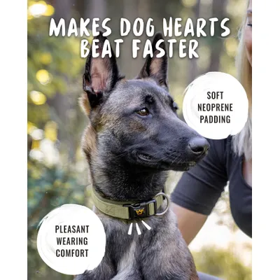 Rudelkönig Collier pour chien Bella