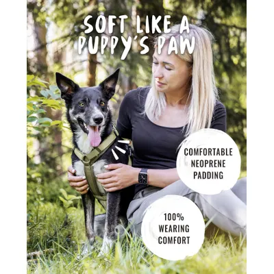 Rudelkönig Harnais pour chien Bella réglable rembourré