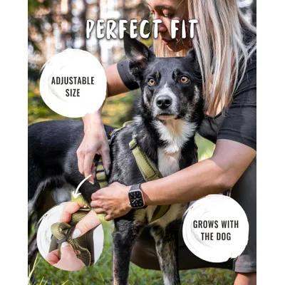 Rudelkönig Harnais pour chien Bella réglable rembourré