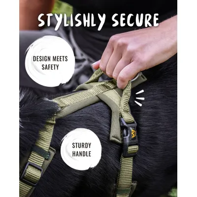 Rudelkönig Harnais pour chien Bella réglable rembourré