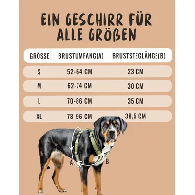 Rudelkönig Harnais pour chien Bella réglable rembourré