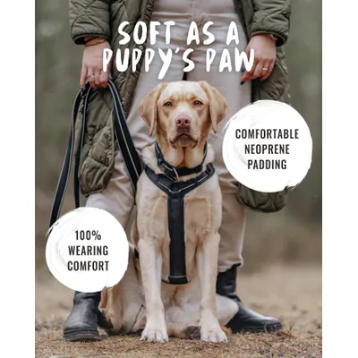 Rudelkönig Harnais pour chien Paola réfléchissant rembourré