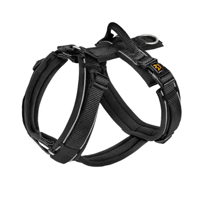 Rudelkönig Harnais pour chien Paola réfléchissant rembourré Rudelkönig Harnais pour chien Paola réfléchissant rembourré