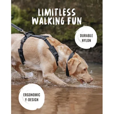 Rudelkönig Harnais pour chien Paola réfléchissant rembourré